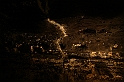 Kanary_2010 306